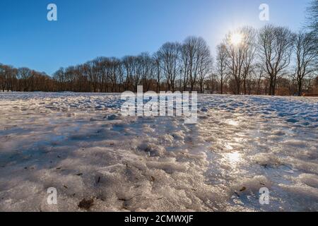 Oslo winter landscape at Vigeland Sculpture Park with snow and dry tree Stock Photo