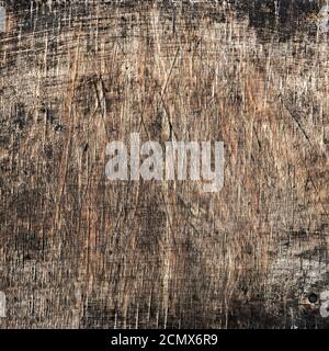 texture of old wood close up Stock Photo