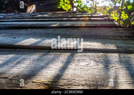 wooden planks go into the sunset with foliage in the background Stock Photo