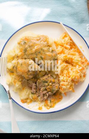 Pork loin chops in vegetable, dill sauce with mashed potatoes and cabbage slaw Stock Photo