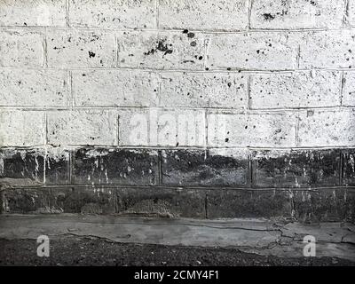 Old brick wall painted with white paint Stock Photo