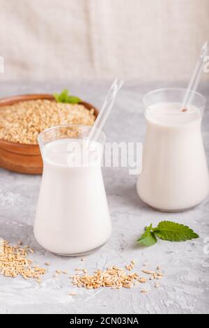 Organic non dairy oats chocolate milk in glass and wooden plate with oats seeds on a black concrete background. Vegan healthy food concept, close up, Stock Photo