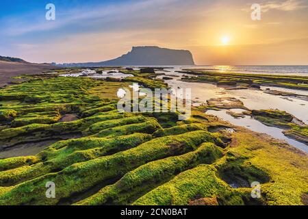 Jeju Island South Korea, Sunrise nature landscape at Jeju Do Seongsan Ilchulbong Stock Photo