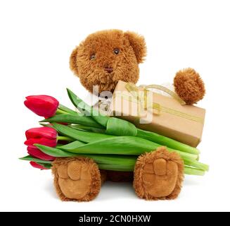 brown teddy bear sits on an isolated white background and holds a box wrapped in brown kraft paper Stock Photo