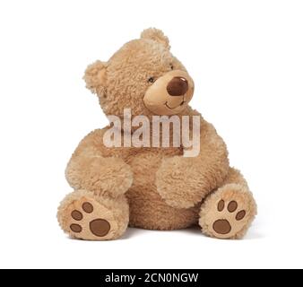 big curly brown teddy bear sits on a white isolated background Stock Photo