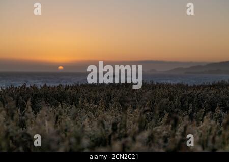 Sun setting behind field of tall grass over looking Pacific Ocean Stock Photo