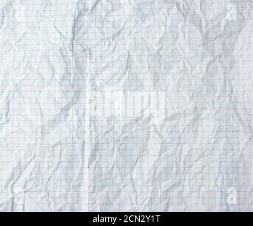 crumpled blank sheet of white paper in a cage from a school notebook Stock Photo