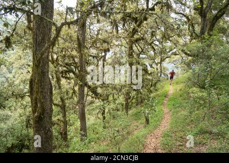 One man running on a trail in the mountains of Zacatlan Stock Photo