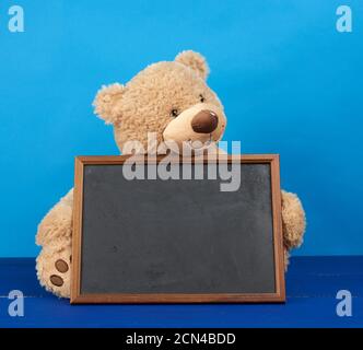 brown teddy bear and empty wooden rectangular frame Stock Photo