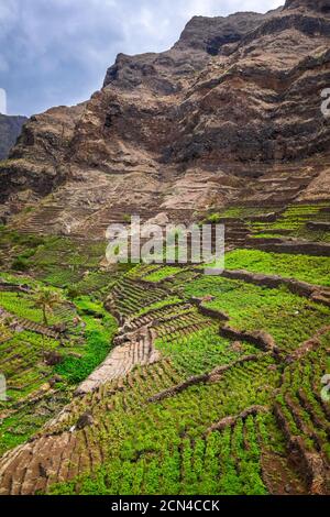 Terrace fields in Santo Antao island, Cape Verde Stock Photo