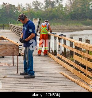 Workers rebuilding a wooden fafety fence in Steveston British Columbia Canada Stock Photo