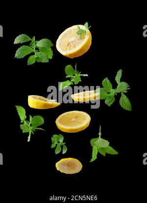 slices of ripe juicy yellow lemons and sprigs of mint with green leaves levitate in the air on a bla Stock Photo