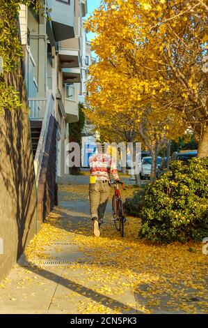 Back view of a biker on the street covered by gingko leaves. Stock Photo