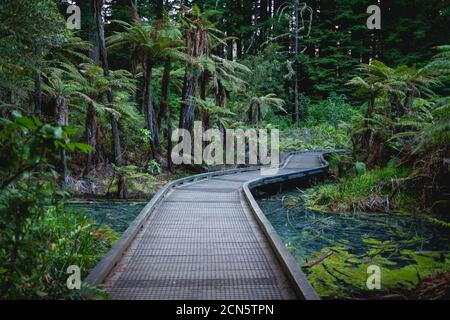 Bridge over a thermal pond in New Zealand Stock Photo