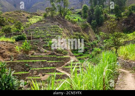 Paul Valley landscape in Santo Antao island, Cape Verde Stock Photo