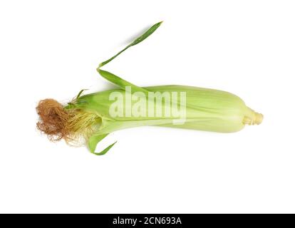 ear of corn in green leaves isolated on white background Stock Photo