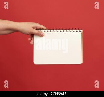 hand holding an open spiral notebook with empty white sheets Stock Photo
