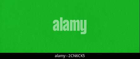 Green leather texture banner Stock Photo
