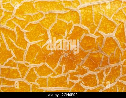 yellow ripe melon texture, full frame Stock Photo