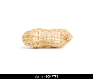 whole peanuts in shell, food isolated on white background Stock Photo