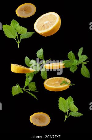 slices of ripe juicy yellow lemons and sprigs of mint with green leaves levitate in the air on a bla Stock Photo