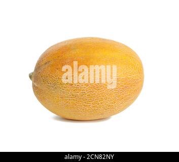 round yellow ripe melon isolated on white background Stock Photo