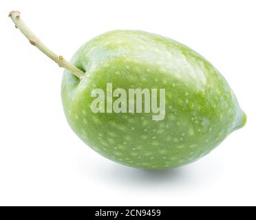 One green natural olive isolated on a white background. Stock Photo