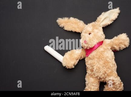 beige plush rabbit toy with long ears and white chalk in a paw on a black chalk board Stock Photo