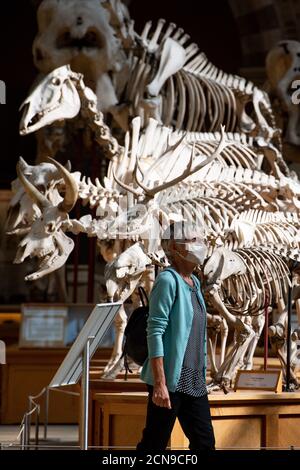 Visitors wearing PPE observe the palaeontology collections at the Oxford University Museum of Natural History, during preview opening day. Visitors are being welcomed back once more after the museum was closed due to the coronavirus pandemic. Stock Photo