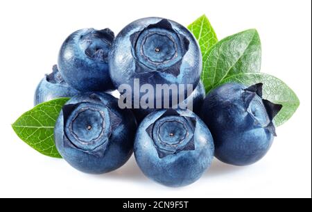 Blueberries with blueberry leaves isolated on a white background. Stock Photo