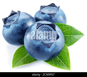 Three blueberries with blueberry leaves isolated on a white background. Stock Photo