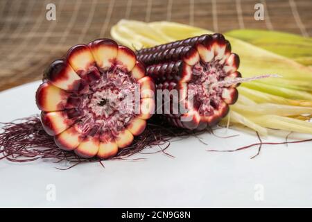 Siam Ruby Queen Corn can eat fresh corn,Red and super sweet corn,King of corn product from Thailand Stock Photo