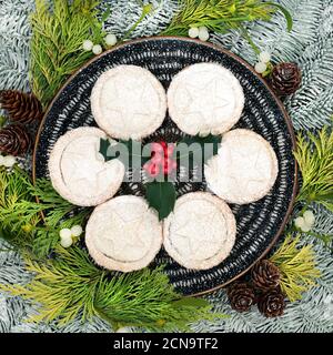 Traditional Christmas mince pies on a plate with winter berry holly & icing sugar dusting, snow covered fir, cedar leaves, mistletoe & pine cones. Stock Photo