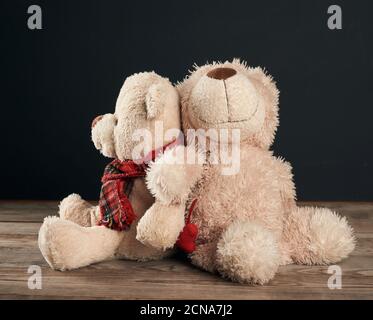 two brown teddy bears are sitting on a brown wooden table Stock Photo