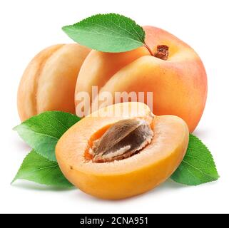 Apricots with leaves and apricot slices isolated on a white background. Clipping path. Stock Photo