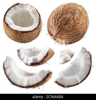 Different coconuts with pieces of cracked coconut fruit with white flesh isolated on white background. Stock Photo