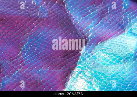 Photo of a real bright crumpled holographic background with a reptile skin texture in blue - purple toned with rays daylight. Stock Photo