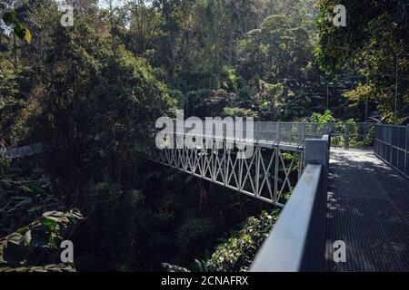 Elevated jungle forest Canopy Walkway in Mae Rim North Chiang Mai a tourist attraction at the Queen Sirikit Botanic Gardens Stock Photo