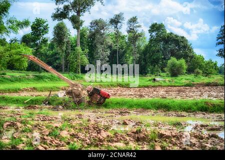 Old hand held tractor wheel plough in rice field. Stock Photo
