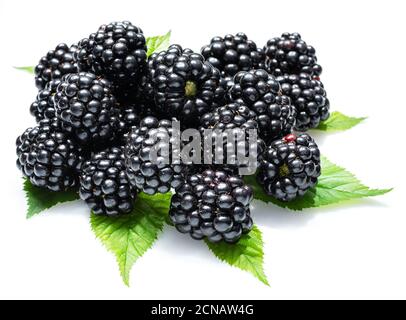 Blackberries with blackberry leaves isolated on a white background. Stock Photo