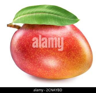 Perfect ripe mango fruit with a leaf isolated on white background.  File contains clipping path. Stock Photo