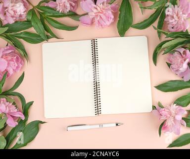 open spiral notepad with white blank sheets and a bouquet of pink peonies Stock Photo