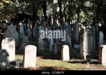 Prague, Czech Republic, October 12, 2019. Tombstones in an old cemetery in the Zizkov district. Stock Photo