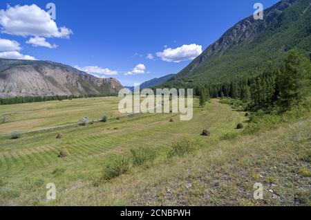 Meadow with haystacks in the mountains. Altai, Russia. Stock Photo