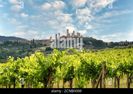 San Gimignano, vineyards and town in Tuscany, Italy Stock Photo