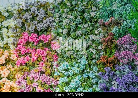 artificial blooming roses of orange, blue and pink color background Stock Photo