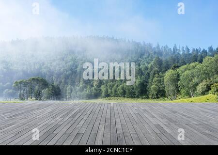 forest background with wooden floor Stock Photo