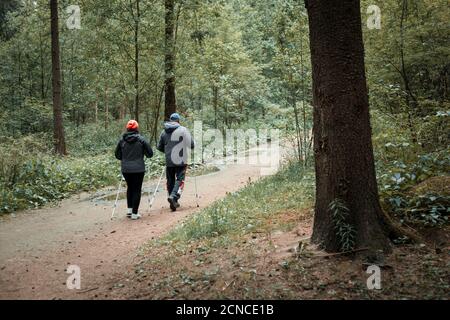 Woman and man are engaged in scandinavian walking in the coniferous forest Stock Photo