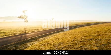 An empty asphalt road across a grassland at sunrise, empty asphalt road leading through autumn grassland in the early light. Stock Photo