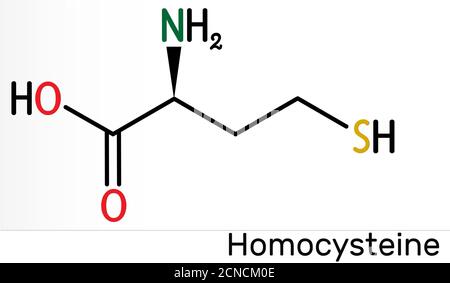 Homocysteine biomarker molecule. It is a sulfur-containing non-proteinogenic amino acid. Skeletal chemical formula. Illustration Stock Photo